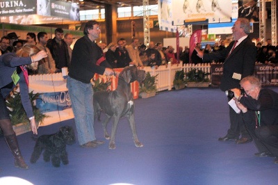 du mont Toise - Et Hop du Mont Toisé au salon de l'agriculture 2011